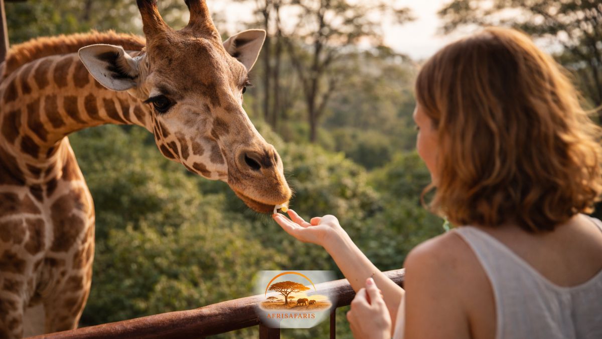 Nairobi City Excursion